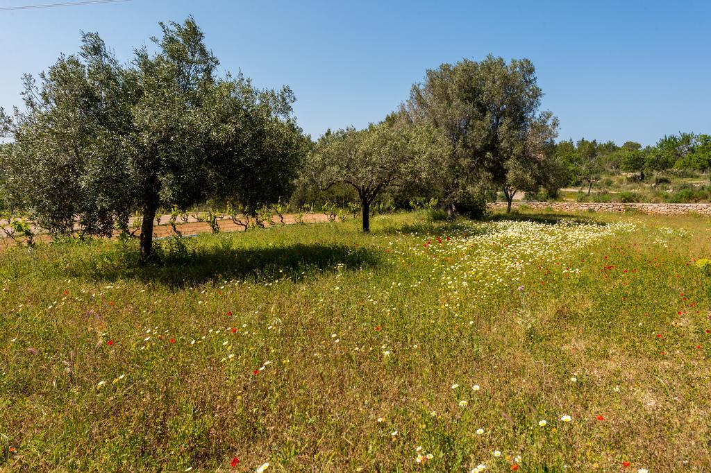 Pousada Casa Can March San Antonio (Ibiza)
